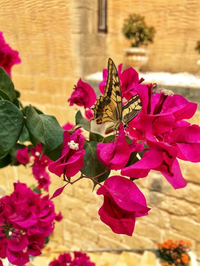 Molendini Villa Gharb  Bagian luar foto